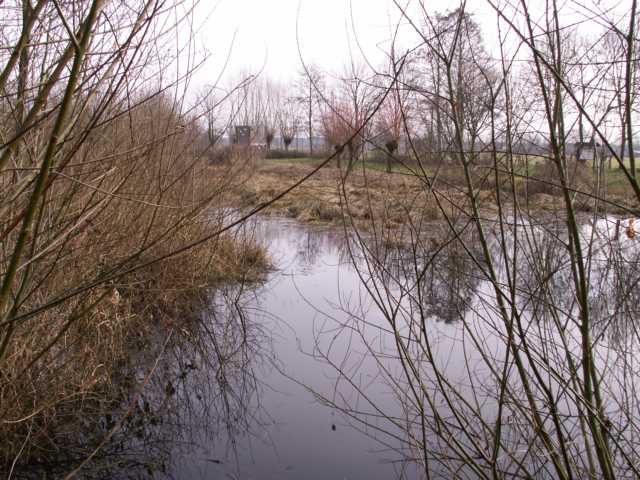 hier ein rückwärtsgewandter Blick von einem pot. Eisvogelbrutwand