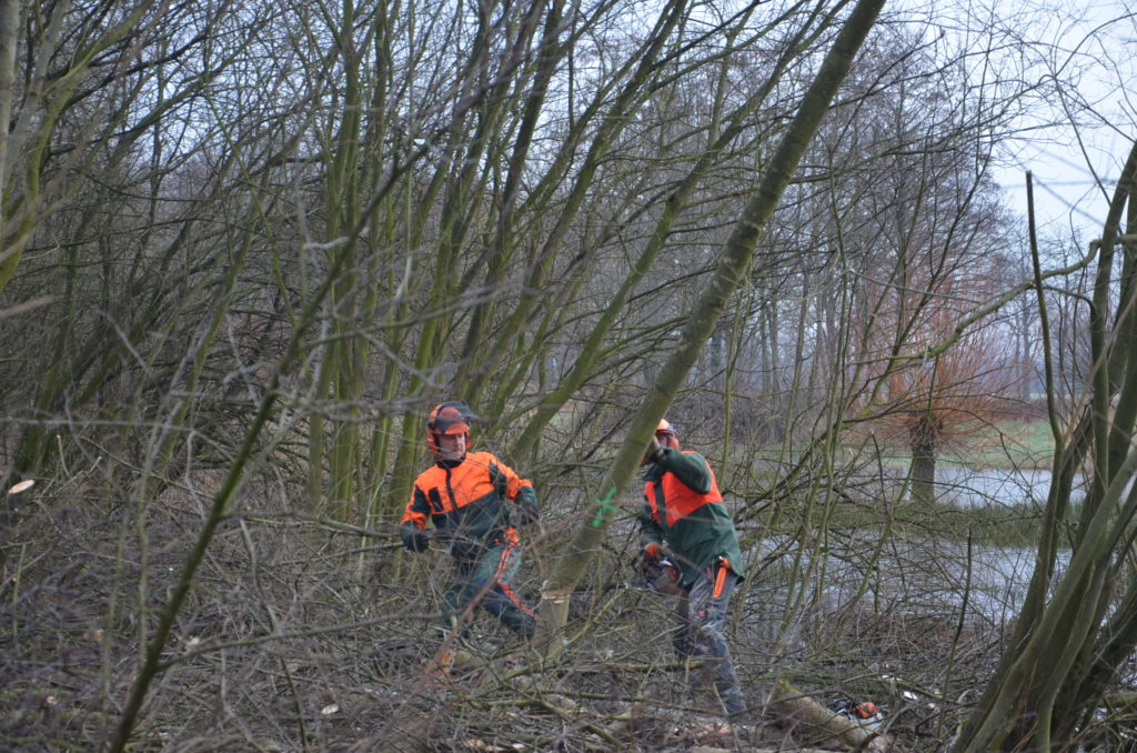 Bild 15