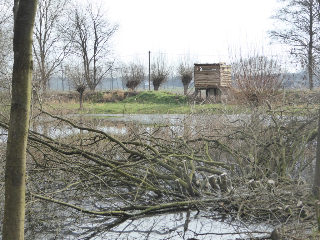 Bild40 (1)