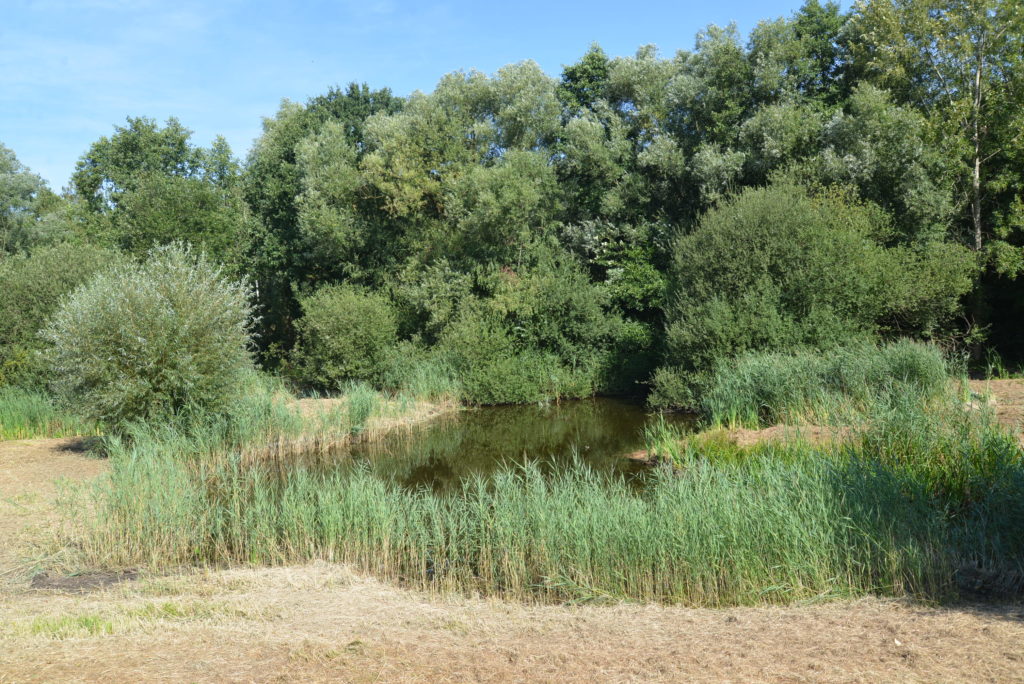 Blänken 1
