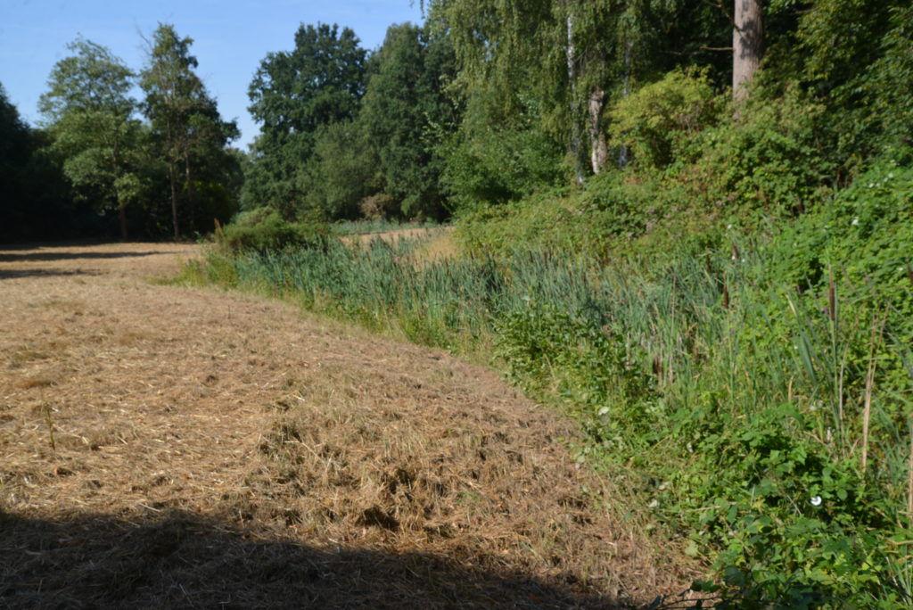 Blänken 6