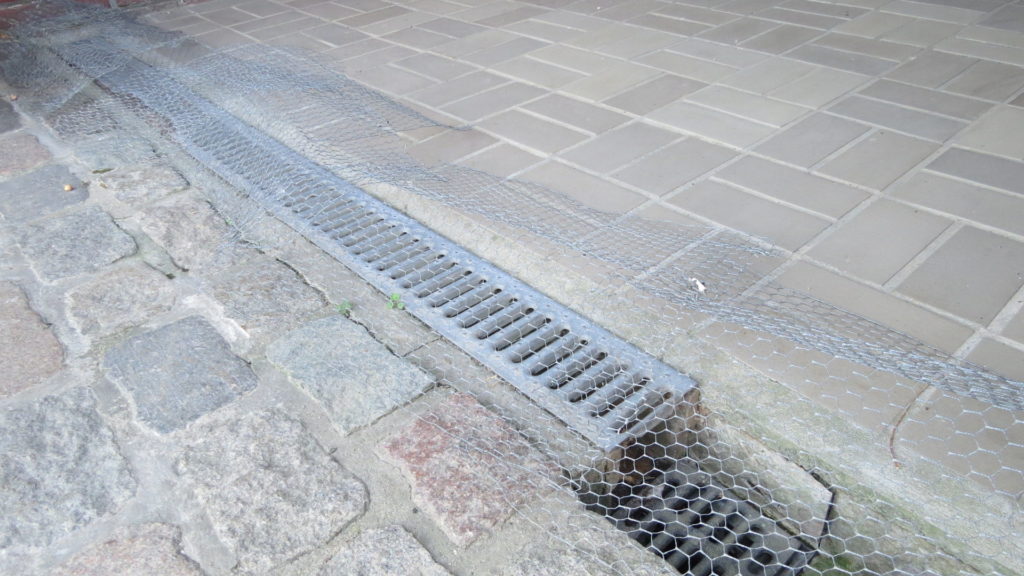 Rauchschwalbe