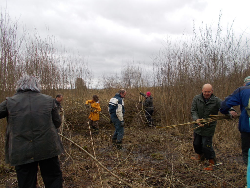 8. Naturwerktag 16032019 (2)