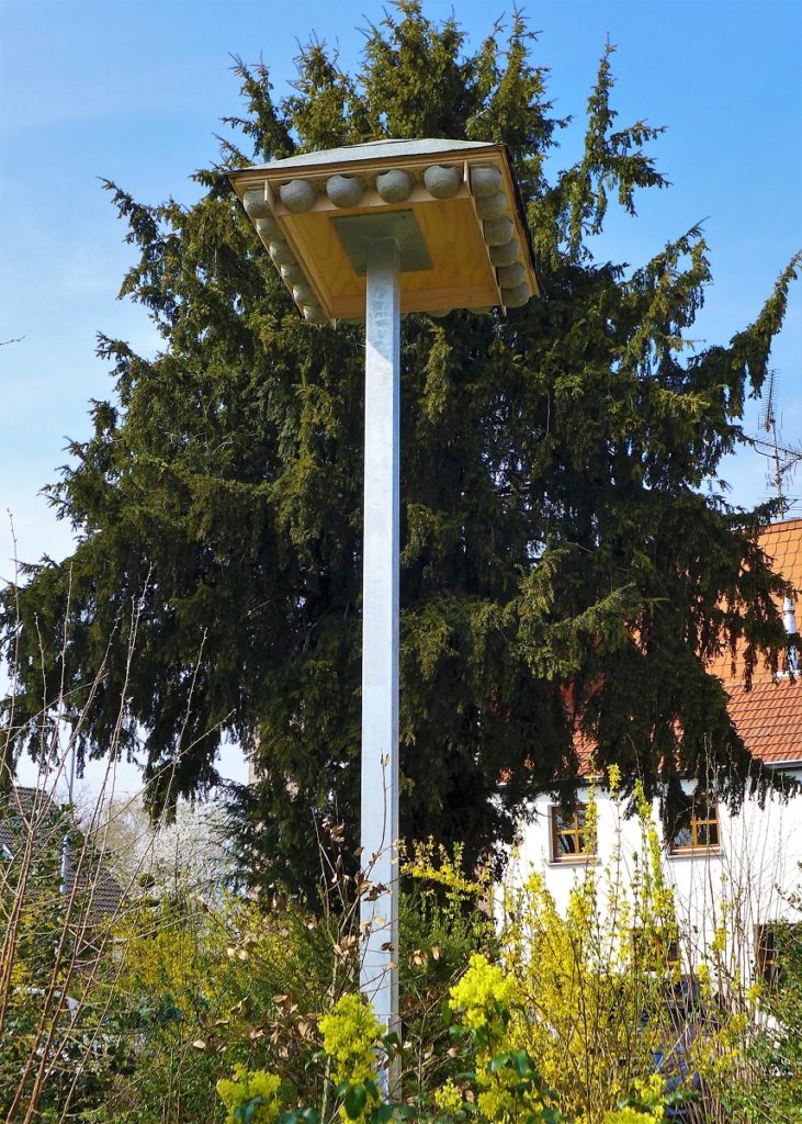 Schwalbe 17